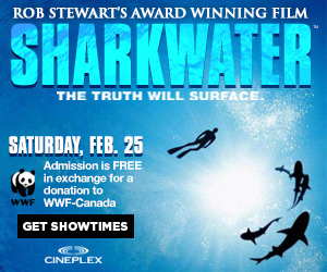 Rob Stewart's award-winning Sharkwater