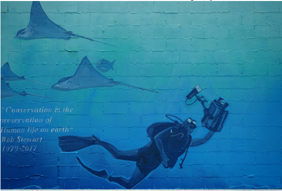 Freeman White mural in New Zealand to honor Rob Stewart's memory