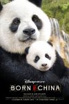 BorninChina_poster