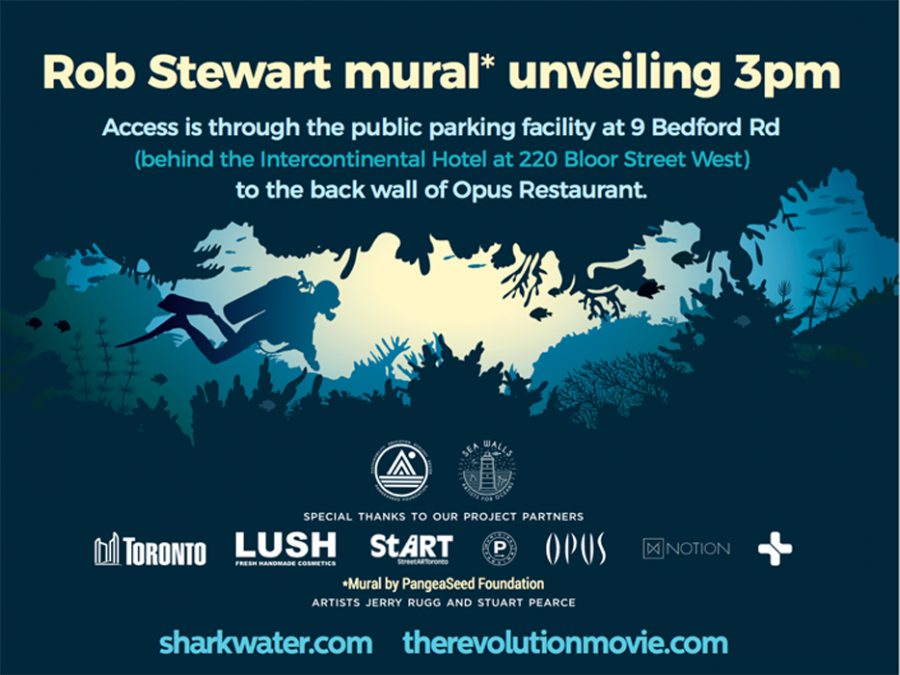 Rob Stewart mural unveiling