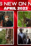 What's-New-on-Netflix-April-2023-MSN