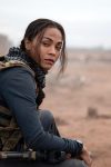Special-ops-lioness